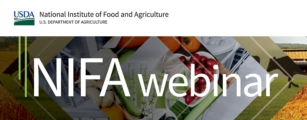 Webinar banner