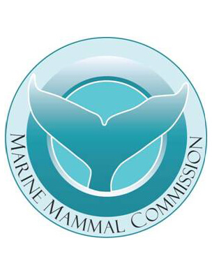 Webinar logo