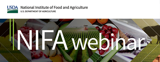 Webinar banner